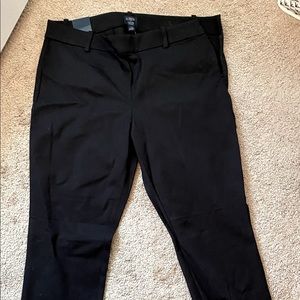 J. Crew Winnie Pant